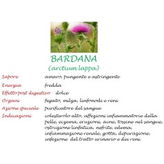 Bardana