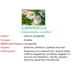 Camomilla