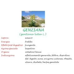 Genziana